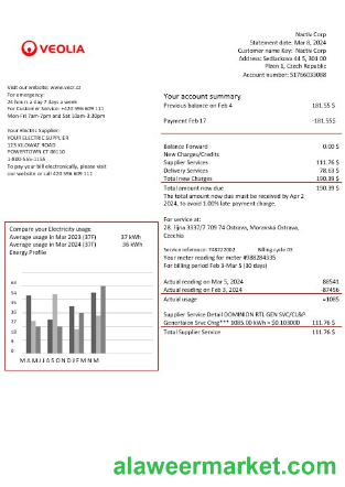 Czechia Veolia Energy Czech Republic energy business utility bill in word and pdf formats1